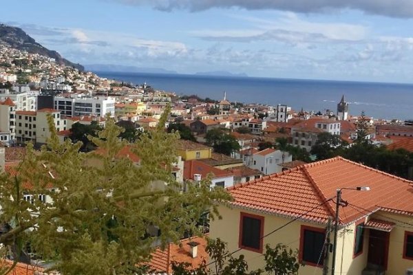 Monte Carlo