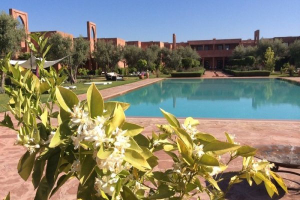Les Jardins De Zyriab
