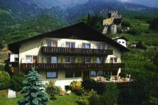 Weingarten Naturns