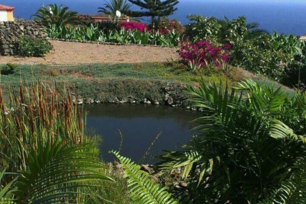 Finca Las Barandas