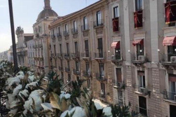 B&B Acanthus