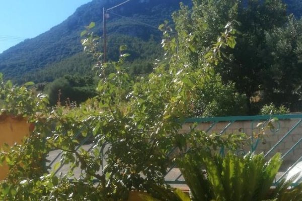 B&B Da Mintonia