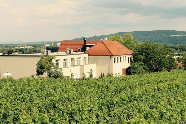 Weingut Hutter
