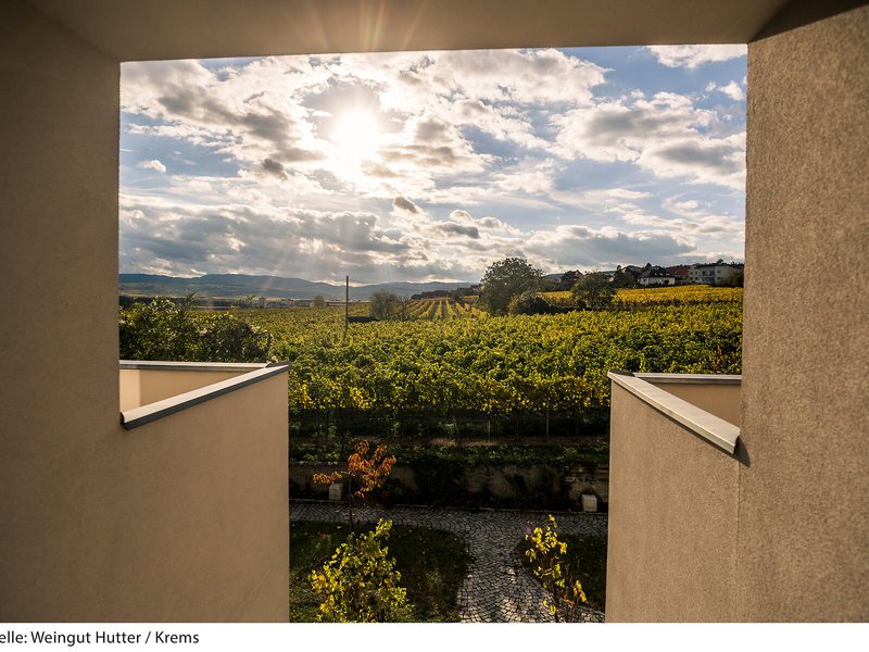 Weingut Hutter