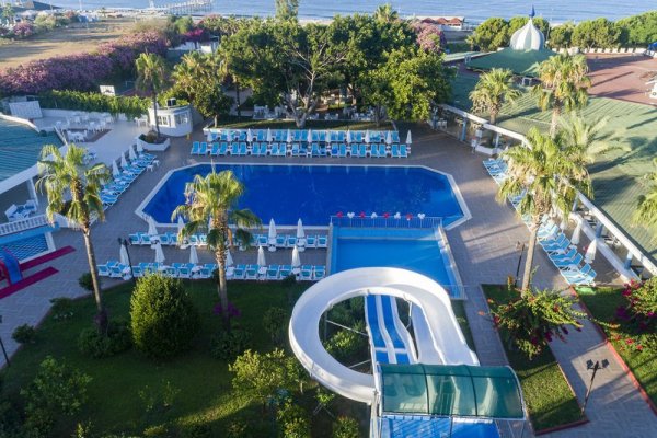 Sentido Palmeras Lumare