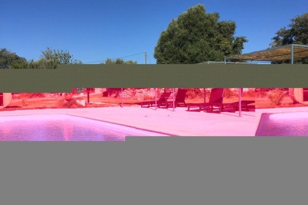 Finca Dalt Murada