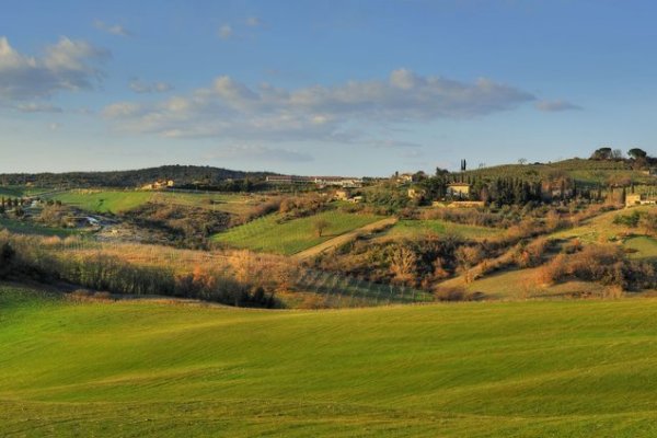 La Pergola