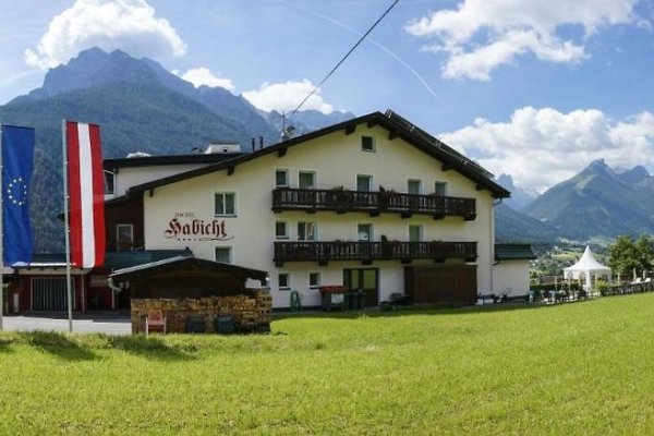Habicht