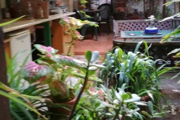 B&B The Garden