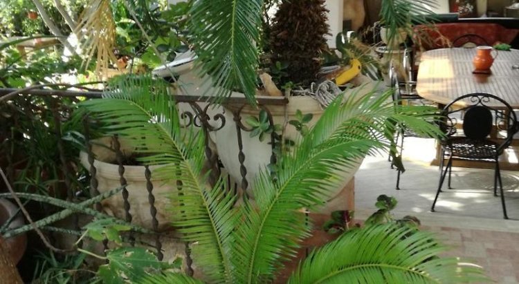 B&B The Garden