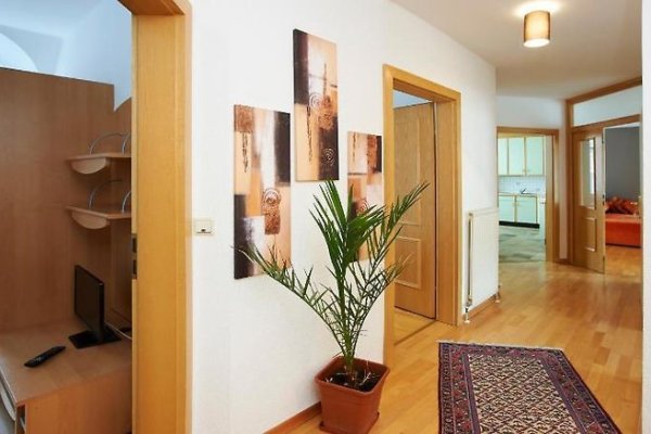 Bayer Appartements
