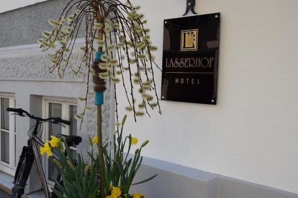Hotel Lasserhof