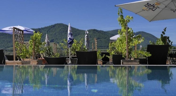 Gartenhotel & Weingut Pfeffel