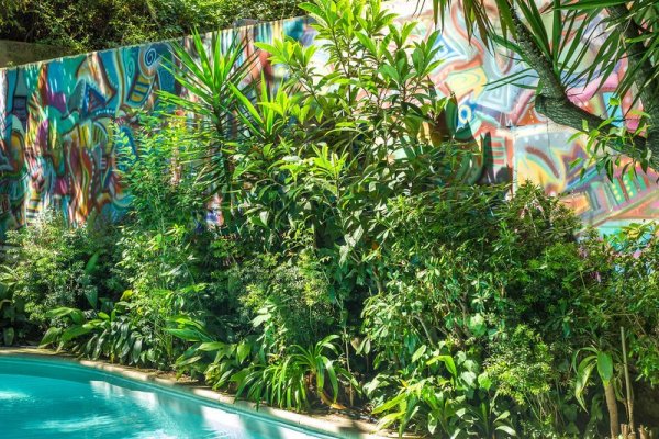 Le Windsor, Jungle Art Hotel