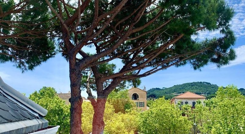 White 1921  SaintTropez