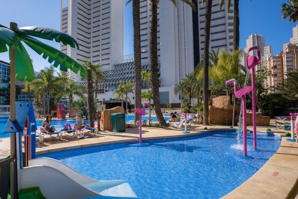 Flamingo Oasis