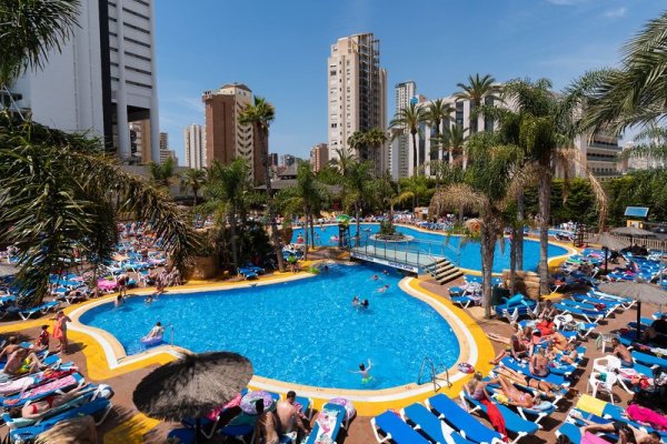 Flamingo Oasis