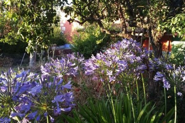 Finca El Balcon