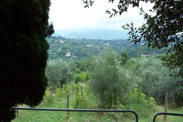 Fattoria Il Milione