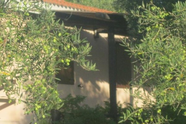 Sa Ingia