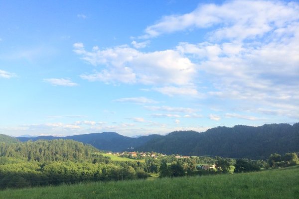 Gasthof Gfrerer Lipp