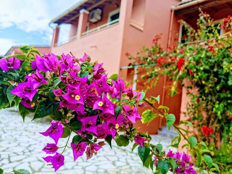 Villa Valia