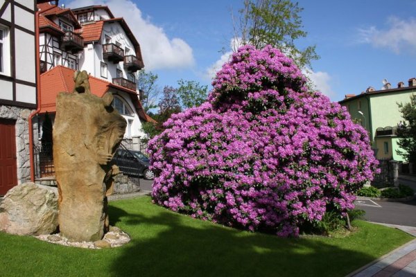 Park Hotel Kur & Spa Buczyn'ski