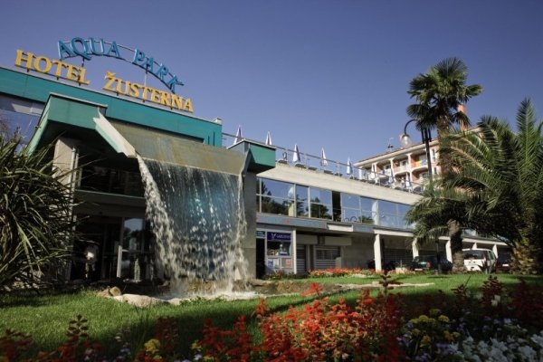 Zusterna