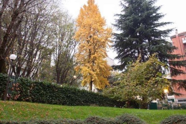Ih Aparthotel Milano Argonne Park
