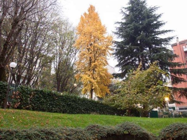 iH Aparthotel Milano Argonne Park