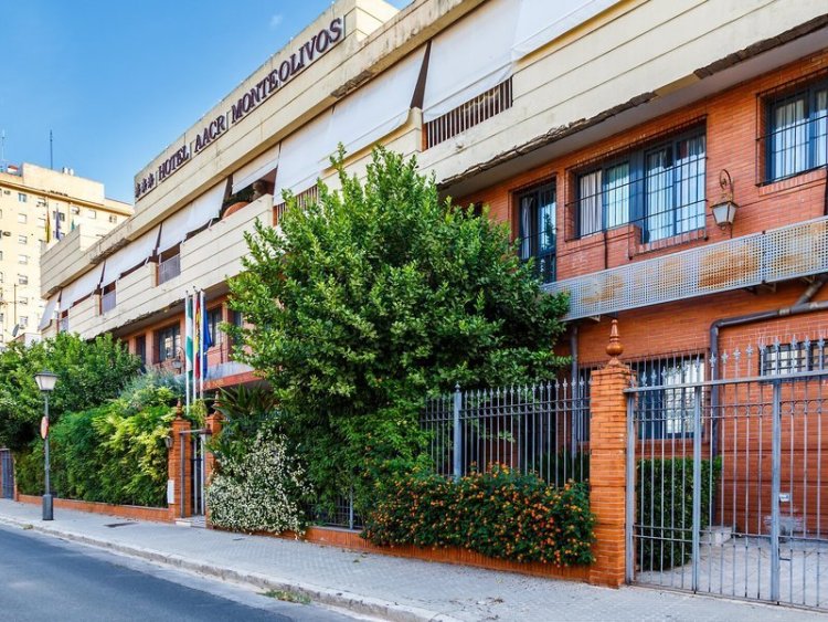 Hotel Monteolivos
