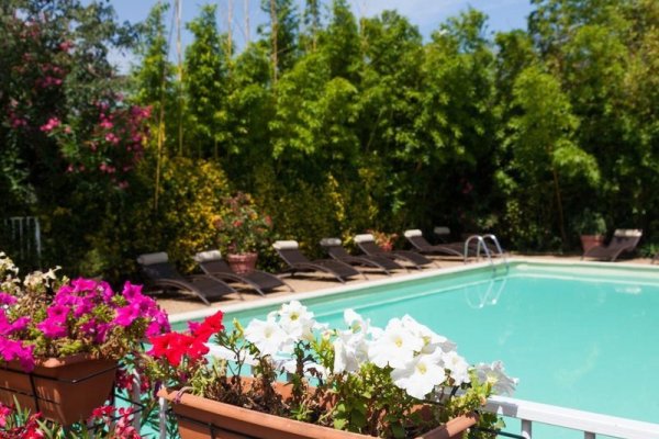 Logis Nimotel