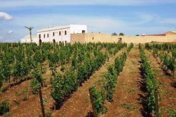 Baglio Donna Franca Wine Resort & Farm Estate