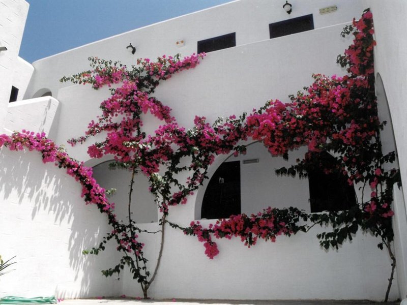 San Antonio Summer House