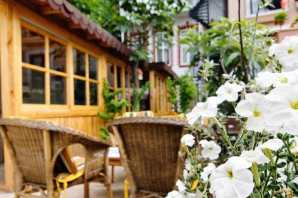 Tulip House