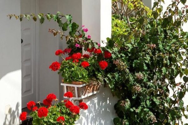 Riolinciano14 B&B