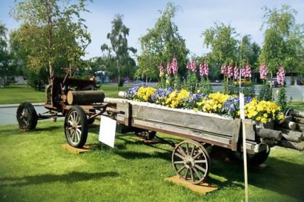 Wedgewood Resort