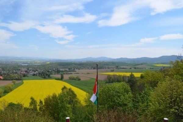 Koitsche
