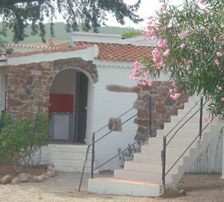 Veniqui