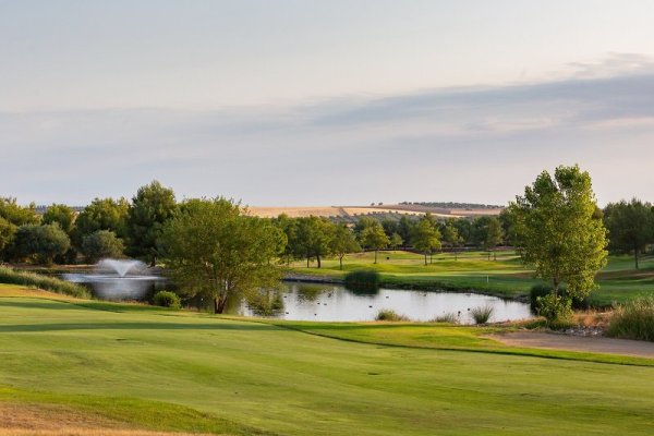 Exe Layos Golf