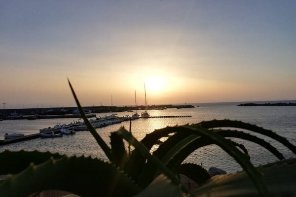Palm Beach Hotel