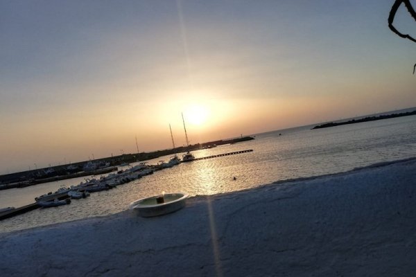 Palm Beach Hotel