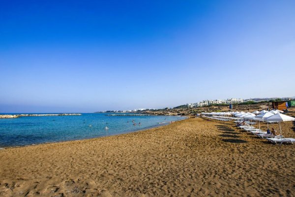 Venus Beach