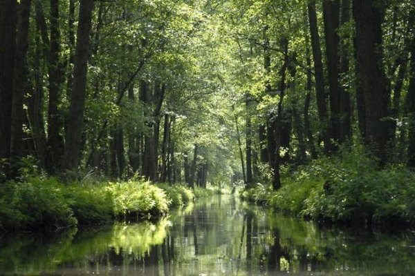 Schrebenza Apartments & Natur