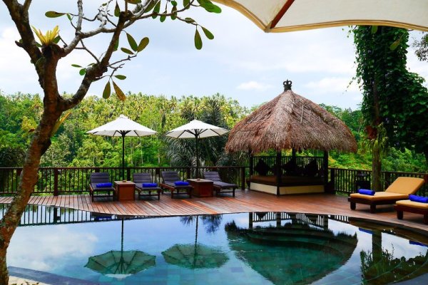 Nandini Jungle by Hanging Gardens