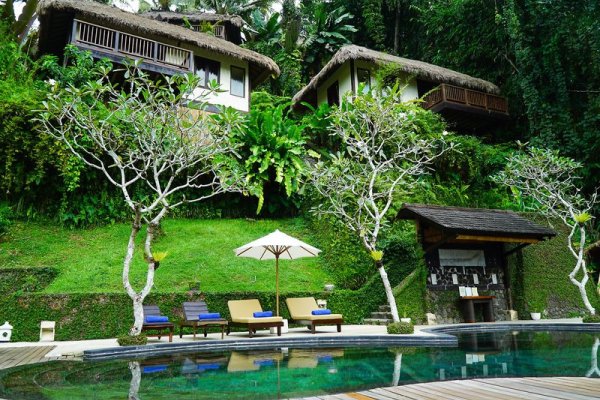 Nandini Jungle by Hanging Gardens