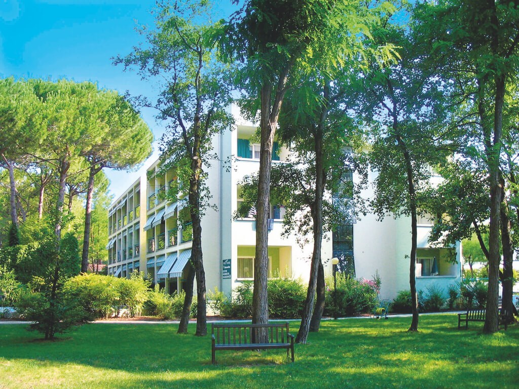 Pinewood