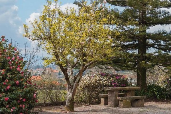 Quinta da Bouca d´Arques