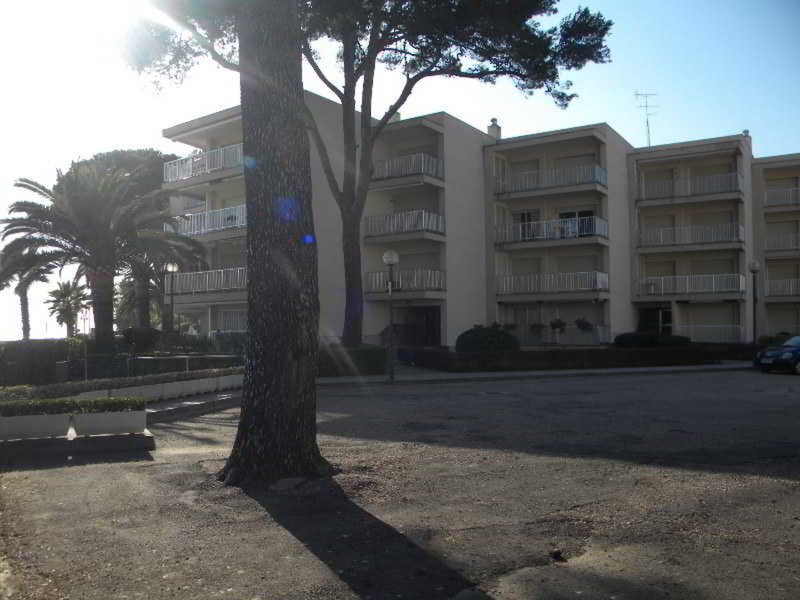 Apartamentos DMS 5