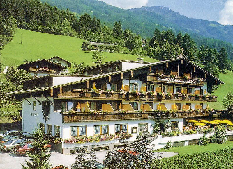 Schwarzer Adler Ramsau im Zillertal